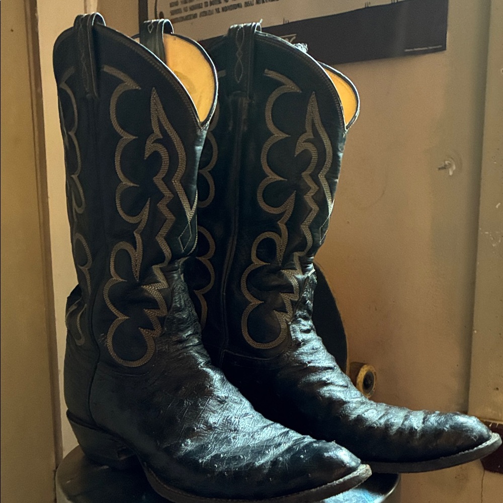 Tony lama el ray ostrich boots